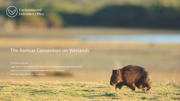 the ramsar convention on wetlands
