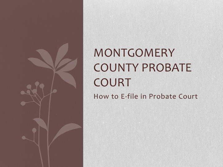 montgomery county probate court