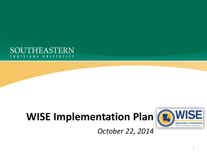 wise implementation plan