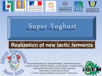 Realization of new lactic ferments Mounir Benkoulouche 1 , Floriane Bretheau 1 , Jean-Rmy