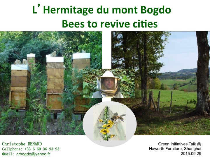 l hermitage du mont bogdo bees to revive ci3es