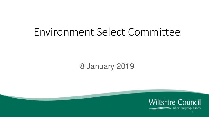 environment select committee