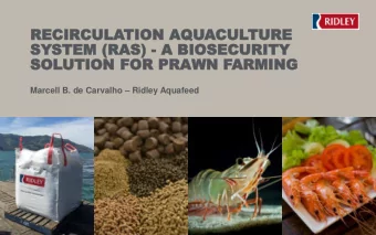 SOL  SOLUTION  UTION FO  FOR  R PR  PRAWN  WN FAR  ARMING  MING Marcell B. de Carvalho  Ridley