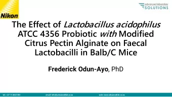 ATCC 4356 Probiotic with Modified  Citrus Pectin Alginate on Faecal  Lactobacilli in Balb/C Mice
