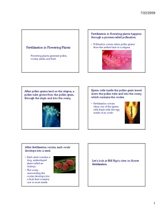 7/22/2009  Fertilization in flowering plants happens  through a process called pollination.