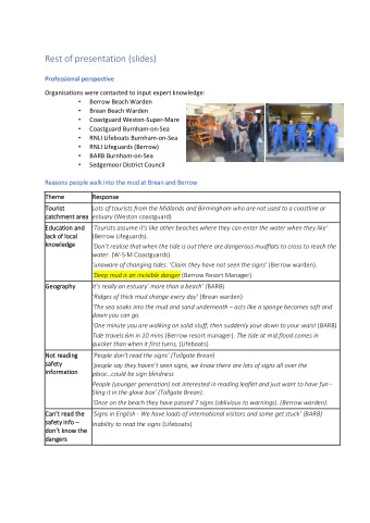 Rest of presentation (slides) Professional perspective  Organisations were contacted to input