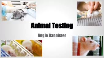 Animal Testing  Angie Bannister  What is Animal Testing?  animal testing, animal experimentation or