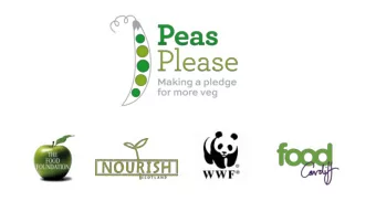 Our Jo  Journey Together  The Facts  The Problem  We should be eating 3.5 portions/280g of veg per