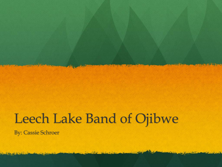 leech lake band of ojibwe