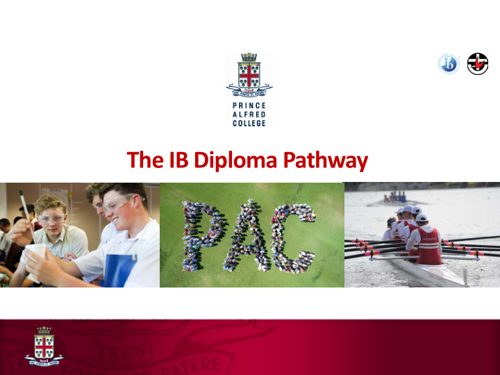 the ib diploma pathway ib diploma pathway