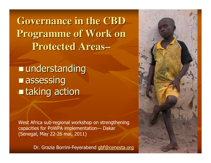 governance in the cbd governance in the cbd programme of