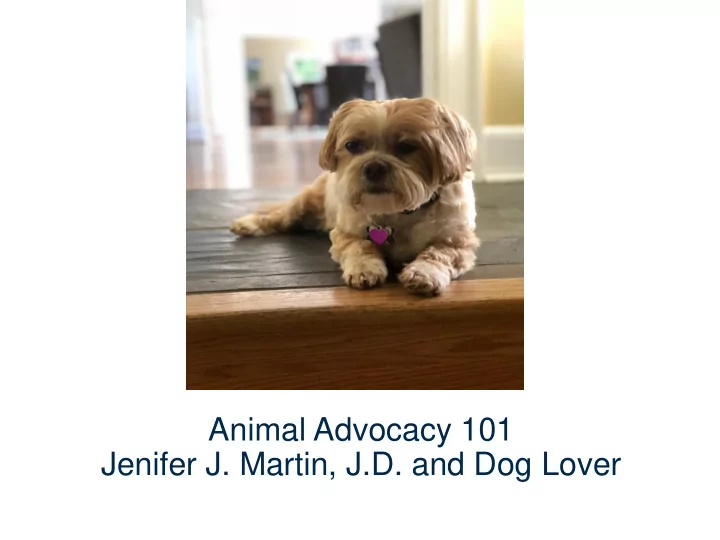 animal advocacy 101 jenifer j martin j d and dog lover