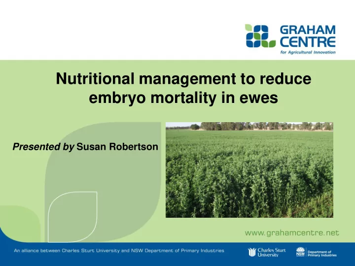 embryo mortality in ewes