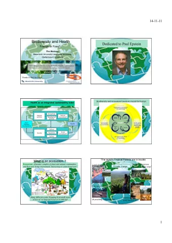 Dedicated to Paul Epstein  Friends or Foes? Pim Martens  Maastricht University-Leuphana University