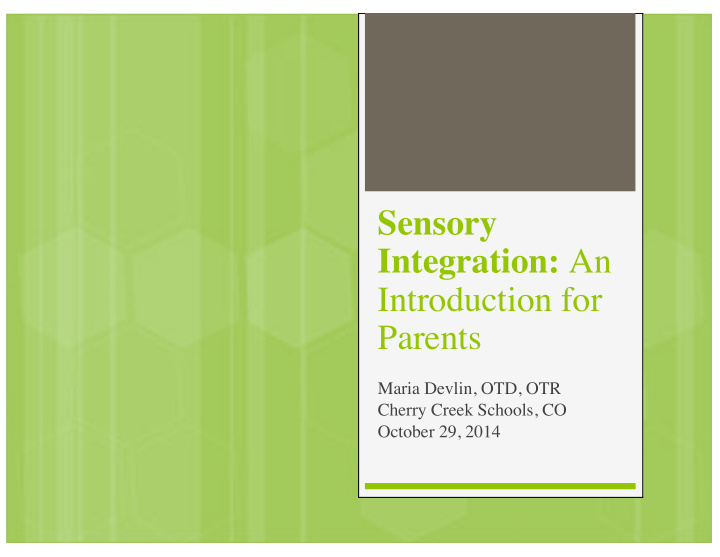 sensory integration an