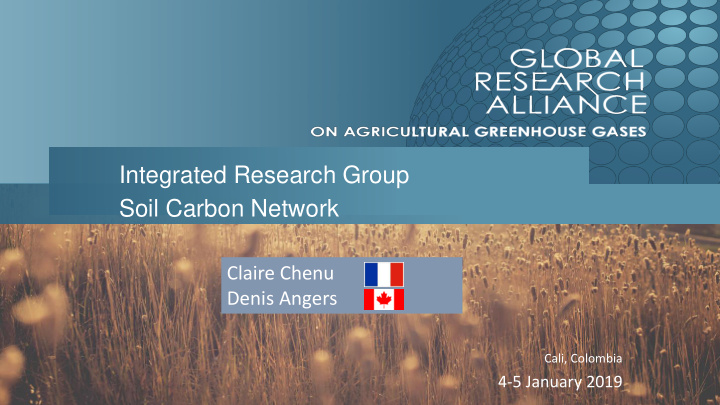 integrated research group soil carbon network