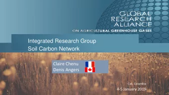 Integrated Research Group  Soil Carbon Network  Claire Chenu  Denis Angers  Cali, Colombia  4-5