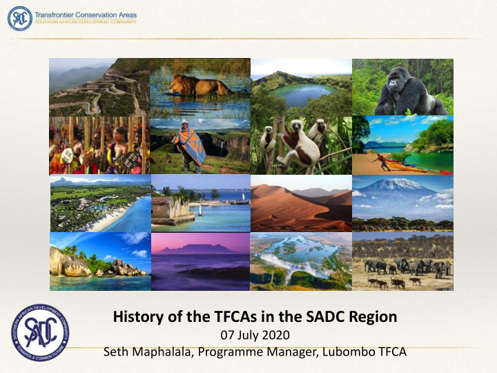 history of the tfcas in the sadc region