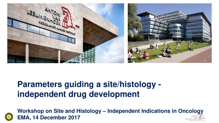 parameters guiding a site histology independent drug