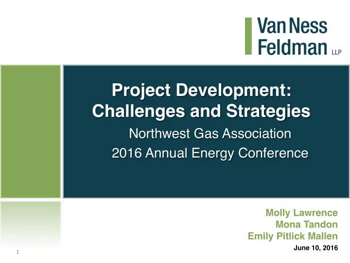 project development challenges and strategies