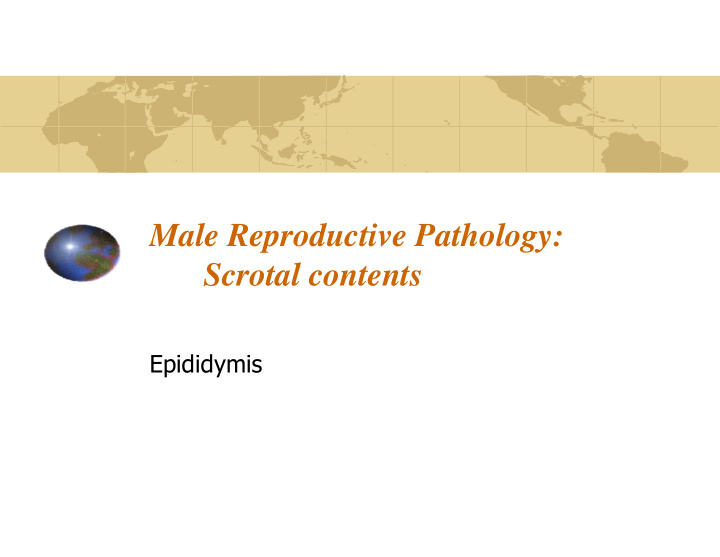 male reproductive pathology scrotal contents