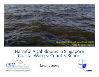 Harmful Algal Blooms in Singapore  Coastal Waters: Country Report  Sandric Leong  Training Course