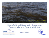 harmful algal blooms in singapore coastal waters country