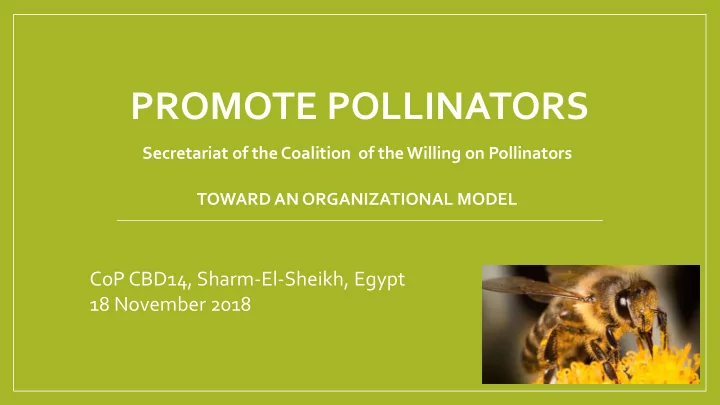 promote pollinators