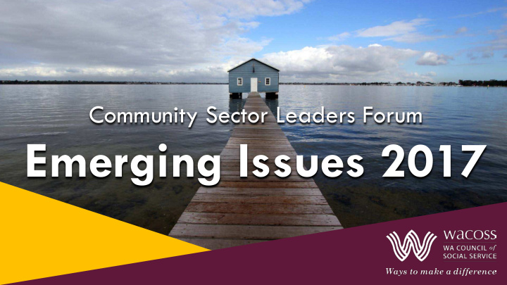 emerging issues 2017 about wacoss