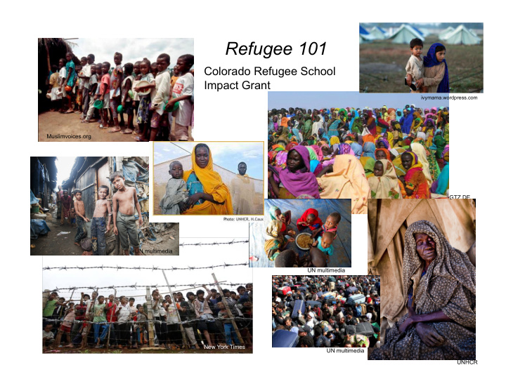 refugee 101