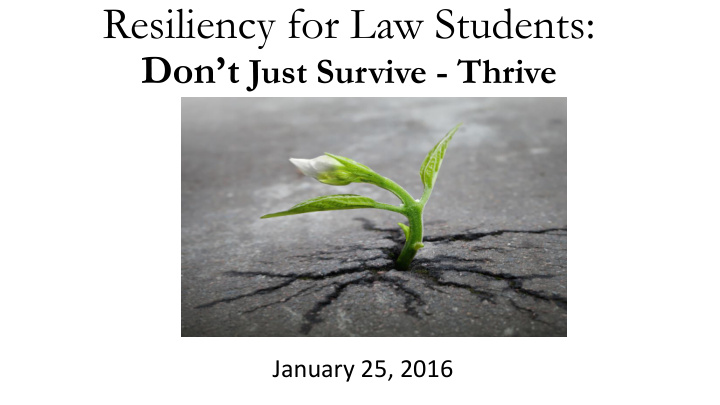 resiliency for law students