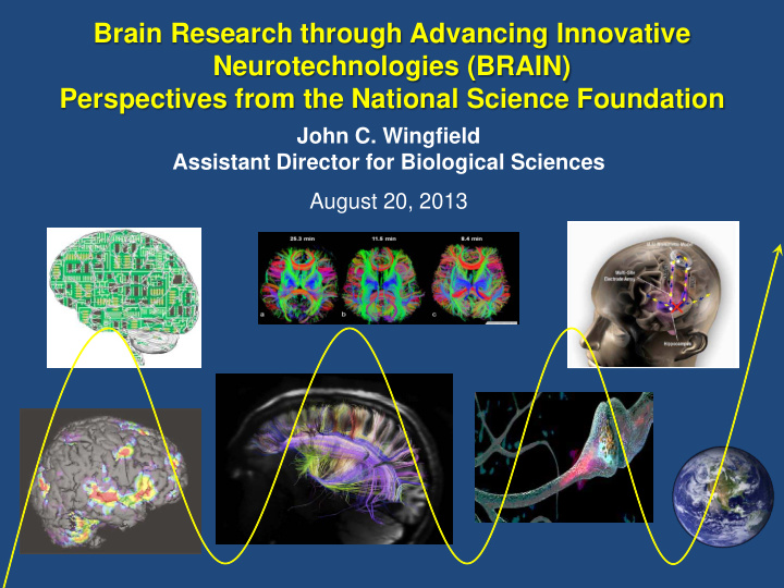 brain research through advancing innovative