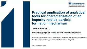 Practical application of analytical  tools for characterization of an  impurity-related particle