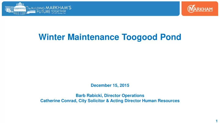 winter maintenance toogood pond