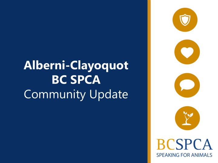 alberni clayoquot bc spca community update about the bc