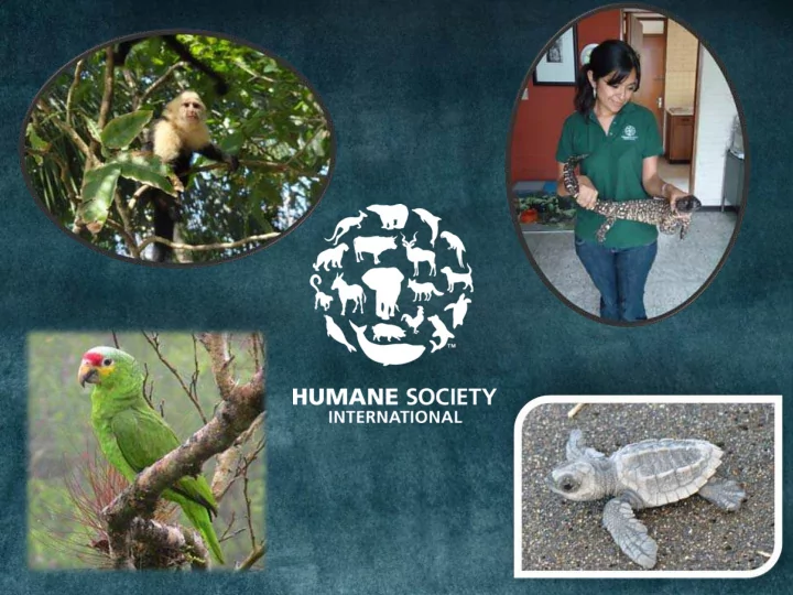 humane society international