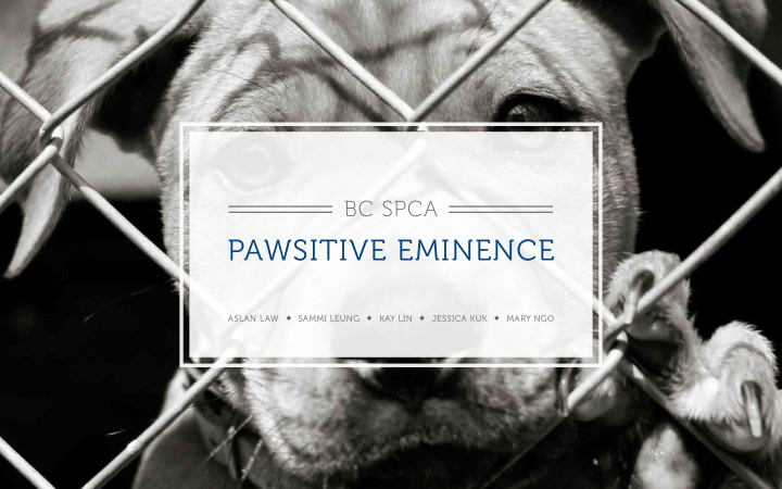 pawsitive eminence