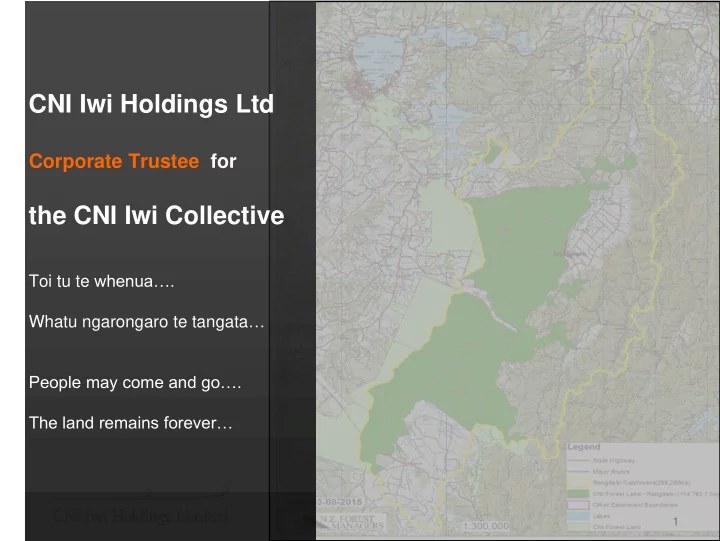 cni iwi holdings ltd