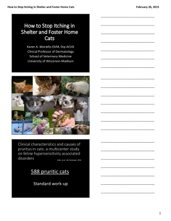 How to Stop It  Itching in  in  Shelter  r and Foster Home  ___________________________________