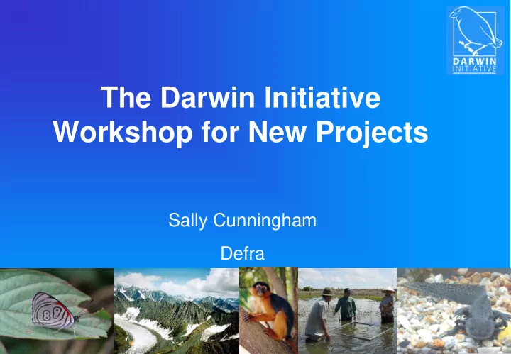 the darwin initiative workshop for new projects