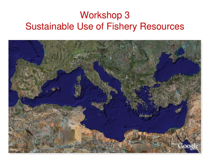 workshop 3