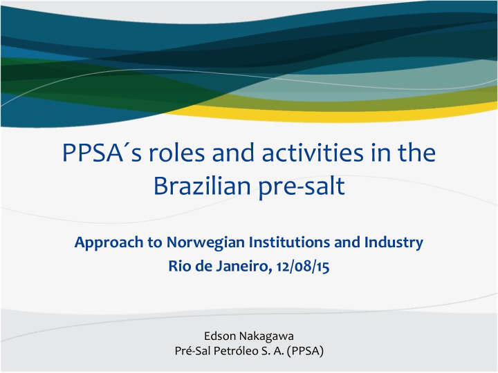 ppsa s roles and activities in the brazilian pre salt