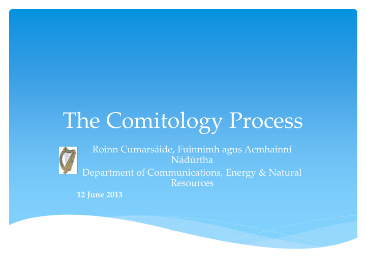 the comitology process