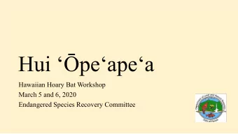 Hui peapea  Hawaiian Hoary Bat Workshop  March 5 and 6, 2020  Endangered Species