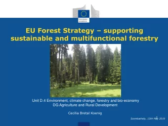 EU Forest Strategy  supporting  sustainable and multifunctional forestry  Unit D.4 Environment,