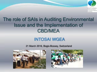 INTOSAI WGEA  21 March 2016, Bogis-Bossey, Switzerland AGENDA  INTOSAI WGEA THE ROLE OF AUDIT AND
