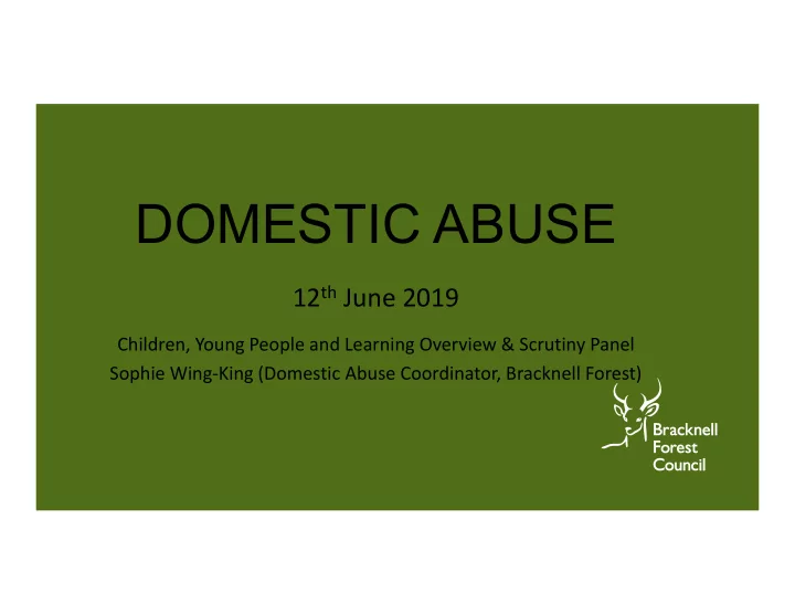 domestic abuse