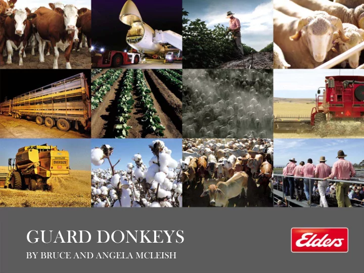 guard donkeys