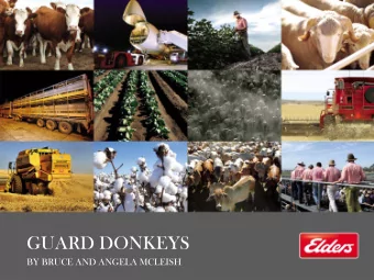 GUARD DONKEYS  BY BRUCE AND ANGELA MCLEISH  Guard Donkeys  by Bruce &amp; Angela McLeish  The