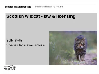 Scottish wildcat - law &amp; licensing  Sally Blyth  Species legislation adviser  Dualchas Ndair